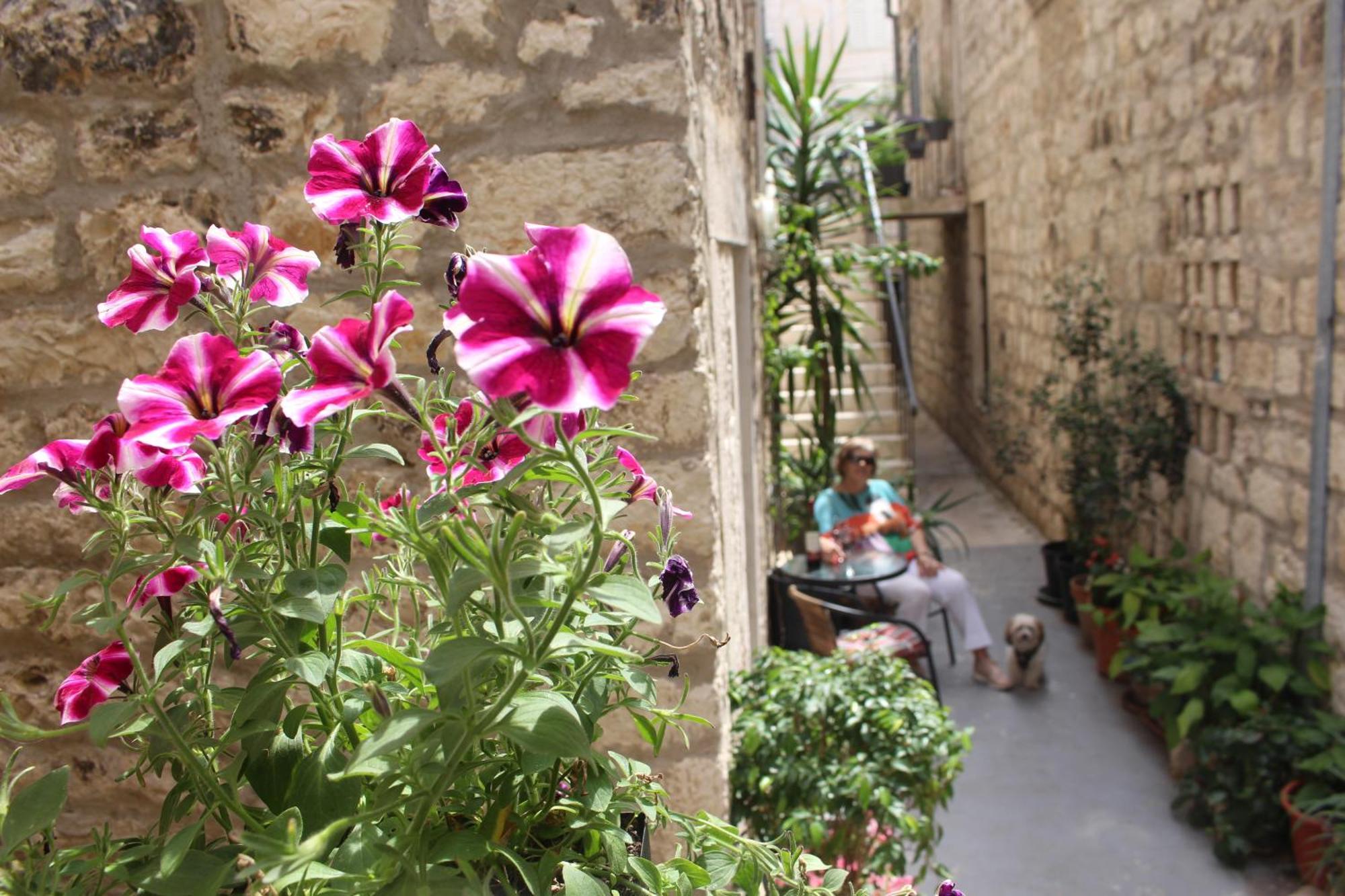 Street Garden Apartment هفار المظهر الخارجي الصورة